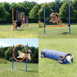Produktbild von Trixie Dog Activity Agility Set Hund vierteilig bunt