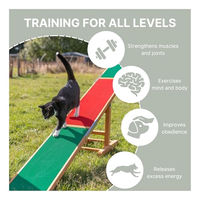 Produktbild von Trixie Dog Activity Agility Wippe aus Holz für Hunde
