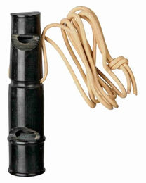 Trixie Dressurpfeife aus Büffelhorn für Hunde mit Doppelklang 9 cm – Bild 1 von 10