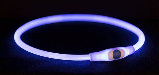 Trixie Flash USB Leuchtring für Hunde Blau S-M 40 cm - 40 cm – Bild 1 von 3