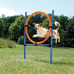 Trixie Fun Agility Hundetraining Ring aus Kunststoff Blau Orange – Bild 1 von 5