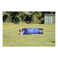 Produktbild von Trixie Fun Agility Mini Hundetunnel Blau für Welpen 2m - 2 m
