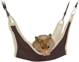 Trixie Hängematte aus Polyester für Kleintiere wie Ratten, Kaninchen und Meerschweinchen 30 x 30 cm – Bild 1 von 10