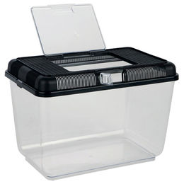 Trixie Hartschalen-Transport- und Fütterungsbox für Reptilien aus Kunststoff 38 x 26 x 24 cm Transparent Grün – Bild 1 von 2