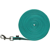 Produktbild von Trixie Hunde Schleppleine Türkis 10m/15mm - 10 m