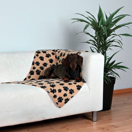 Trixie Hundedecke Beany aus Fleece beige hypoallergen – Bild 1 von 3