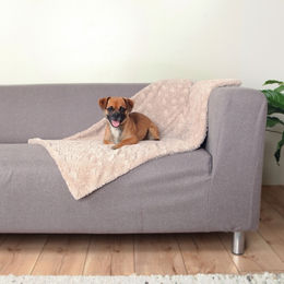 Trixie Hundedecke Cosy Fleece beige allergikerfreundlich - 1 Stk. – Bild 1 von 3