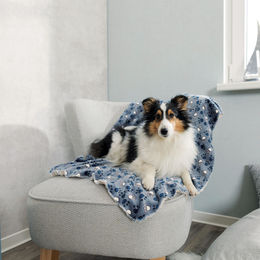 Trixie Hundedecke Tammy aus Plüsch blau/beige 100 x 70 cm hypoallergen – Bild 1 von 8