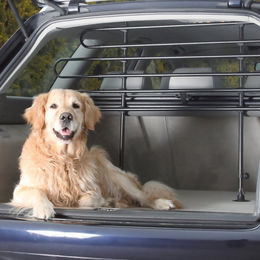 Trixie Hundegitter Auto-Schutzgitter aus Metall Schwarz Breite 85–140 cm Höhe 75–110 cm – Bild 1 von 7