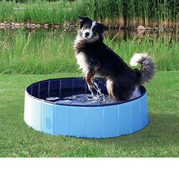 Trixie Hundepool faltbares Hundeplanschbecken aus Kunststoff in Blau/Grau mit ø 160 x 30 cm – Bild 1 von 11