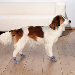 Trixie Hundesocken Anti-Rutsch Grau Größe L-XL aus Baumwolle – Bild 1 von 10
