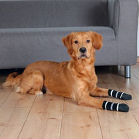 Produktbild von Trixie Hundesocken mit Latex Anti-Rutsch Schwarz XS-S
