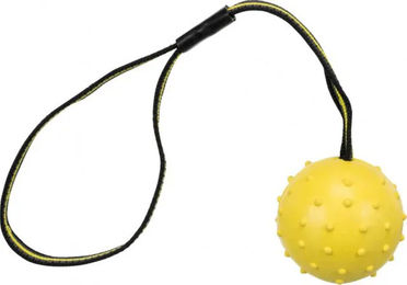 Trixie Hundespielzeug Ball am Gurt aus Naturkautschuk Orange ø 6 cm 35 cm – Bild 1 von 2
