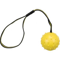 Produktbild von Trixie Hundespielzeug Ball am Gurt aus Naturkautschuk Orange ø 6 cm 35 cm