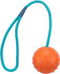 Trixie Hundespielzeug Ball am Seil aus Gummi – Bild 1 von 2
