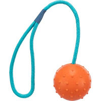 Produktbild von Trixie Hundespielzeug Ball am Seil aus Gummi