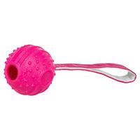 Produktbild von Trixie Hundespielzeug Soft & Strong Ball am Gurt aus TPR in Pink 27 cm