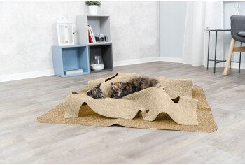 Trixie Intelligenzspielzeug Spielteppich aus Polyester beige 99x99cm – Bild 1 von 2