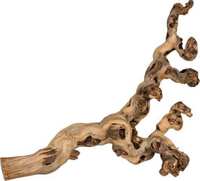 Trixie Intelligenzspielzeug Weinrebe aus Naturmaterial für Kaninchen 5 Stück 40-60 cm – Bild 1 von 7
