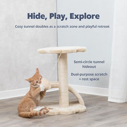 Trixie Junior Kratzbaum Vitoria für kleine Katzen in Beige/Natur mit Sisal 43 cm – Bild 1 von 3