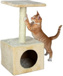 Trixie Junior Kratzbaum Zamora für Katzen, beige, 60 cm mit Plüsch – Bild 1 von 13