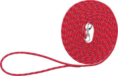 Trixie Junior Welpen-Schleppleine aus Nylon in Rot Größe XS - 4 m – Bild 1 von 3