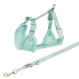 Trixie Junior Welpen Softgeschirr mit Leine Mint Grün Größe M-L - 2 m – Bild 1 von 2