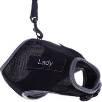 Produktbild von Trixie Katzengeschirr XCat mit Leine aus Nylon in Schwarz