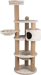 Trixie Katzenhalsband Kitty Cat für Kitten aus Nylon - 1 Stk. – Bild 1 von 4