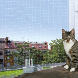 Trixie Katzennetz transparent aus Kunststoff 3 x 2 m - 6 m – Bild 1 von 5