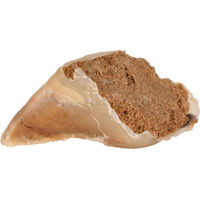 Produktbild von Trixie Kausnack Fleischpastete Rind Light ohne Konservierungsstoffe 5 x 115 g - 5 x 115 g