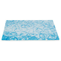 Produktbild von Trixie Keramik Kühlplatte für Kaninchen und Meerschweinchen Blau 35 x 25 cm - 1 Stk.