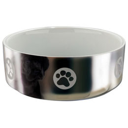 Produktbild von Trixie Keramiknapf mit Motiv silber/weiß Durchmesser 15 cm - 0,8 l