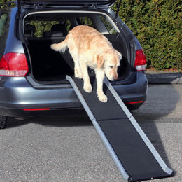 Trixie Klapprampe aus Aluminium für Hunde mit rutschfester Lauffläche 38 x 155 cm – Bild 1 von 8