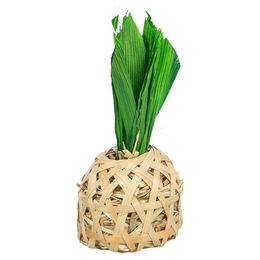 Produktbild von Trixie Knabberspielzeug Ananas aus Bambus mit Maisblättern und Heu