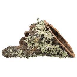 Trixie Korkröhre XS aus Naturkork für Kaninchen und Meerschweinchen - 148 g – Bild 1 von 2