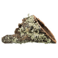 Produktbild von Trixie Korkröhre XS aus Naturkork für Kaninchen und Meerschweinchen - 148 g