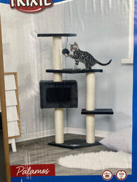 Trixie Kratzbaum Palamos für Katzen in Grau 109 cm mit Sisal – Bild 1 von 9