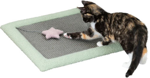 Trixie Kratzmatte für Kitten aus Sisal Grau-Mint 47 x 47 cm - 1 Stk. – Bild 1 von 4