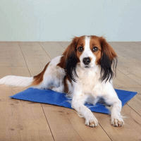 Produktbild von Trixie Kühlmatte für Hunde und Katzen Blau Grau Größe L 65 x 50 cm - 1 Stk.