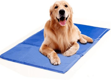 Trixie Kühlmatte XXL für Hunde und Katzen aus Polyester Blau 110 x 70 cm – Bild 1 von 9