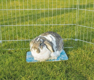 Trixie Kühlplatte aus Keramik für Kleintiere wie Meerschweinchen und Kaninchen Blau 28 x 20 cm - 1 Stk. – Bild 1 von 12