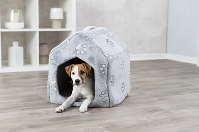 Trixie Kuschelhöhle aus Plüsch für kleine Hunde in Grau – Bild 1 von 2