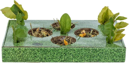 Produktbild von Trixie Leckerli-Platte Knabberspielzeug aus Pappe für Nagetiere in Grün