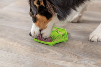 Trixie Lick'n'Snack Schleckmatte für Hunde aus Kunststoff in Grün - 17 cm – Bild 1 von 2