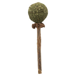 Trixie Matatabi Katzensnack Lolli zur Zahnpflege aus Naturmaterial 10g - 1 Stk. – Bild 1 von 3