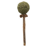 Produktbild von Trixie Matatabi Katzensnack Lolli zur Zahnpflege aus Naturmaterial 10g - 1 Stk.