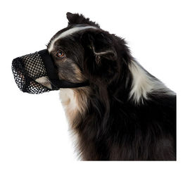 Trixie Maulkorb Giftköder-Schutznetz für Hunde XL Schwarz aus Polyester – Bild 1 von 8