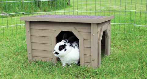 Trixie natura Kleintierhaus aus Holz für Kaninchen Hamster und Meerschweinchen grau-grün 50 x 30 x 37 cm – Bild 1 von 5