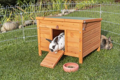 Trixie Natura Kleintierhaus aus Holz für Kaninchen und Meerschweinchen Braun 60 x 47 x 50 cm – Bild 1 von 6